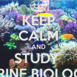 marine biology